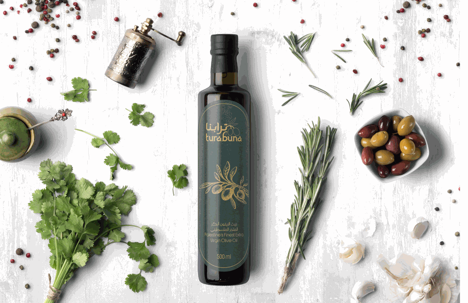 OLIVE OIL  PALESTINE