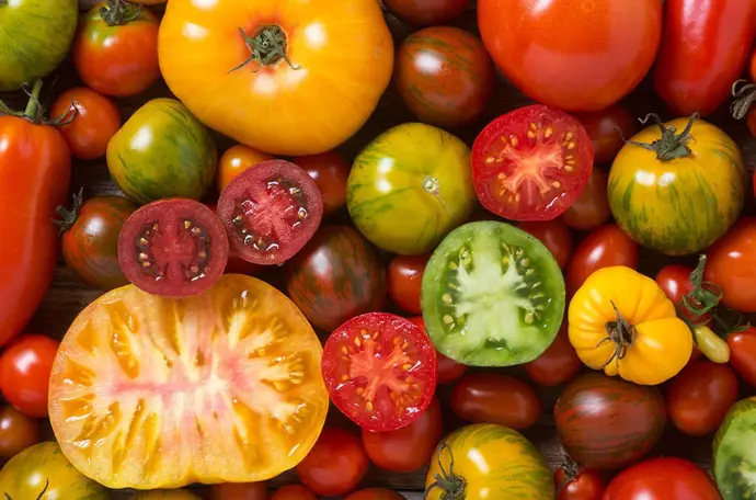JORDANIAN AGRICULTURE  PRODUCTS MARKET
