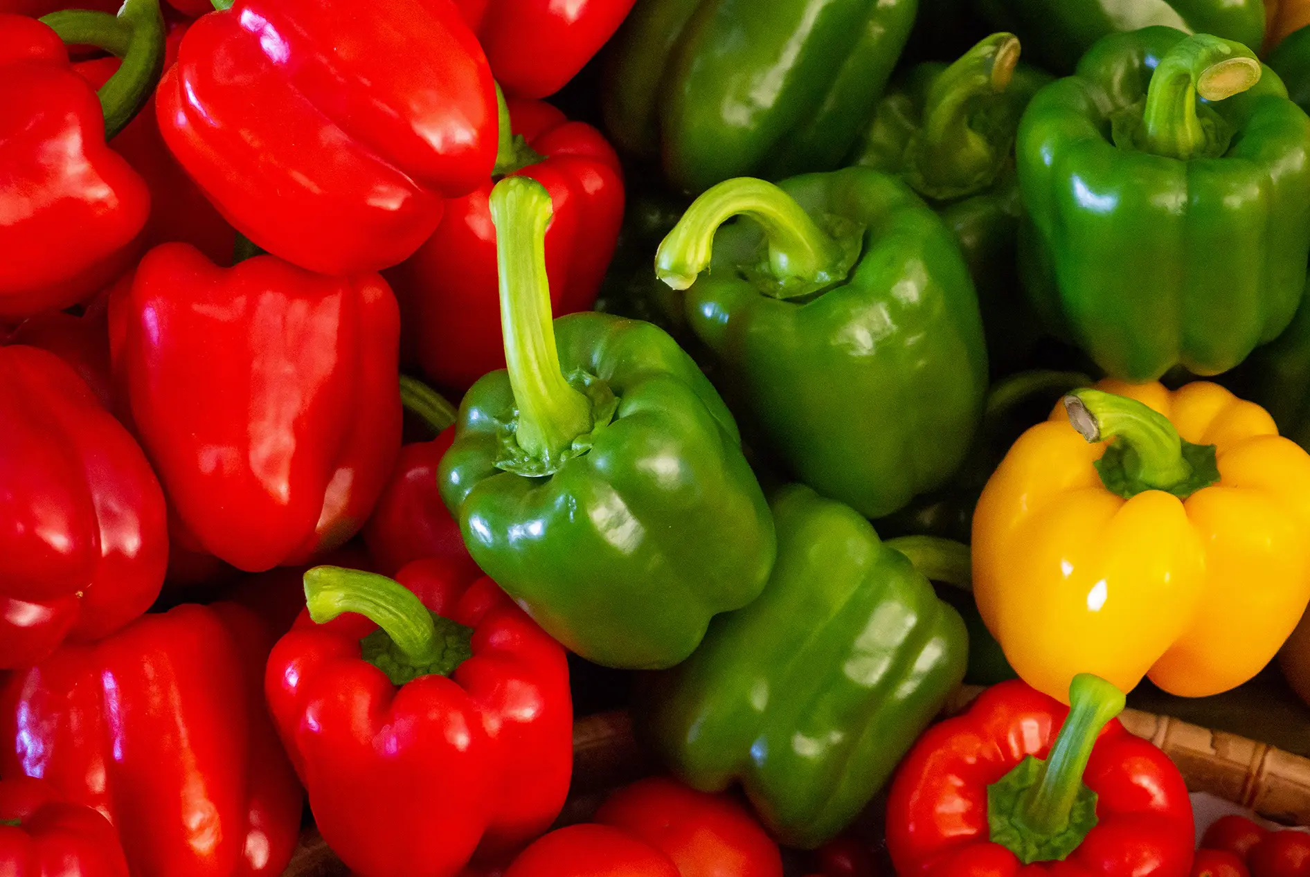 JORDANIAN AGRICULTURE  PRODUCTS